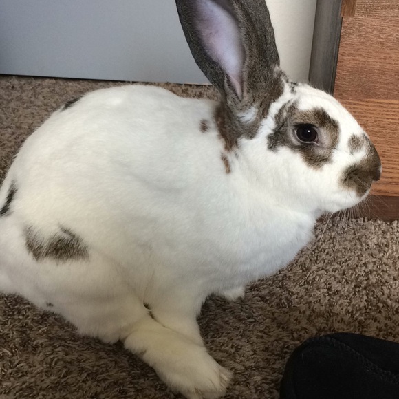 Nuclear_kiwi’s closet 🌙✨ - Picture 2 of 4